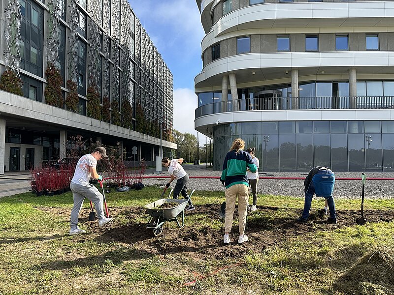 Latvijas Universitāte veido pilsētas pļavas 700 kvadrātmetru platībā